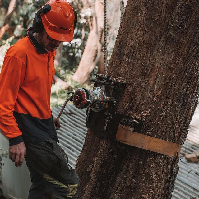 tree lopping st george