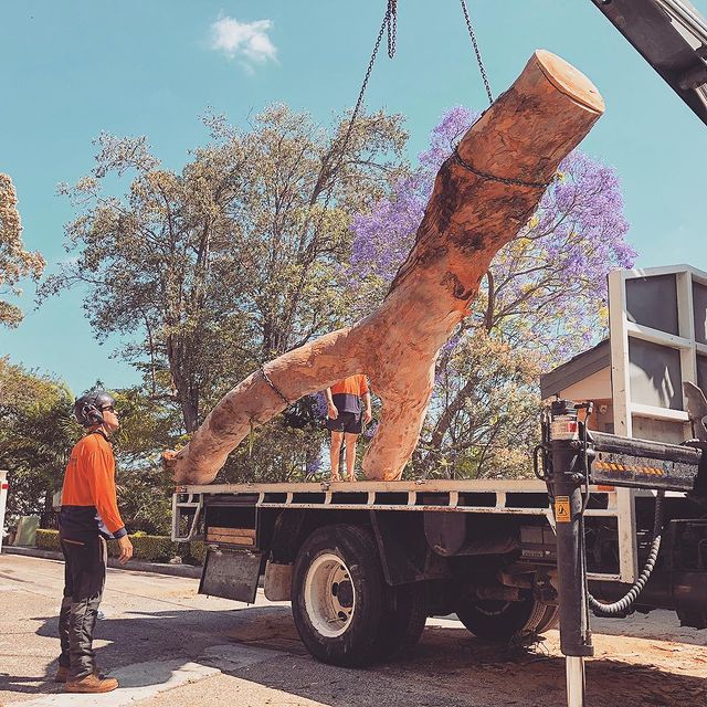 Sydney Stump Removal