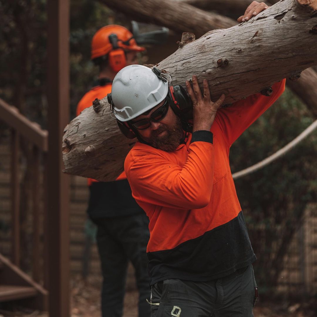 Tree Service Sydney